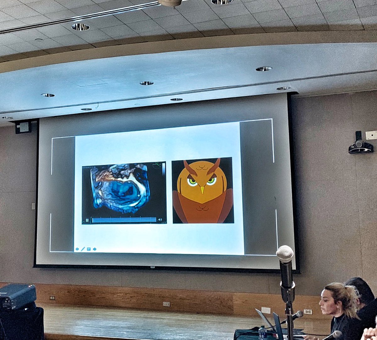 drozgeozden's tweet photo. amazing echo congress, fruitful sessions, different concept! awasome faculty!And finally I gave my lecture🎉🇺🇸🥂#mitraclip #interventionalecho #structuralheartdiseaseimaging #shdi #imagingforever @argulian @LubbDup @AddK007 @MountSinaiNYC @NadeenFaza https://t.co/MzsbN3ysfY
