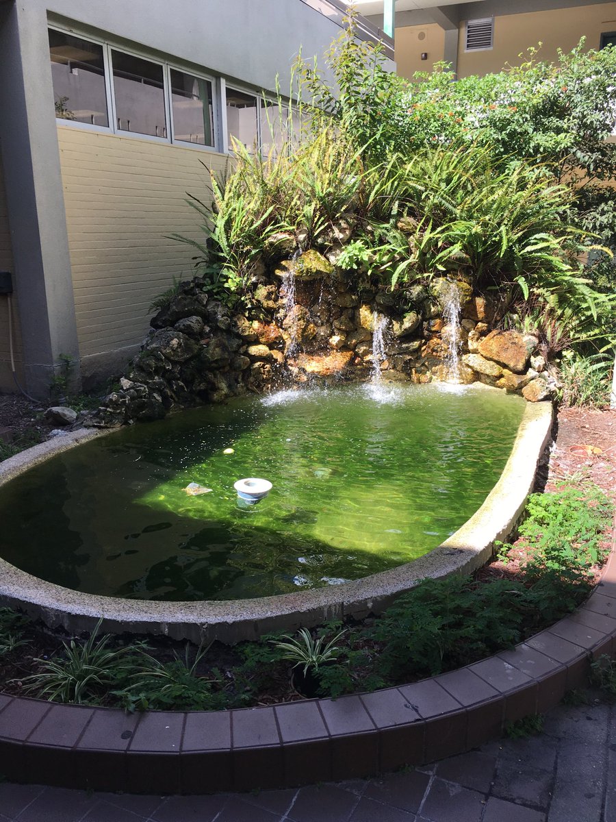 Sue Connell tweet media