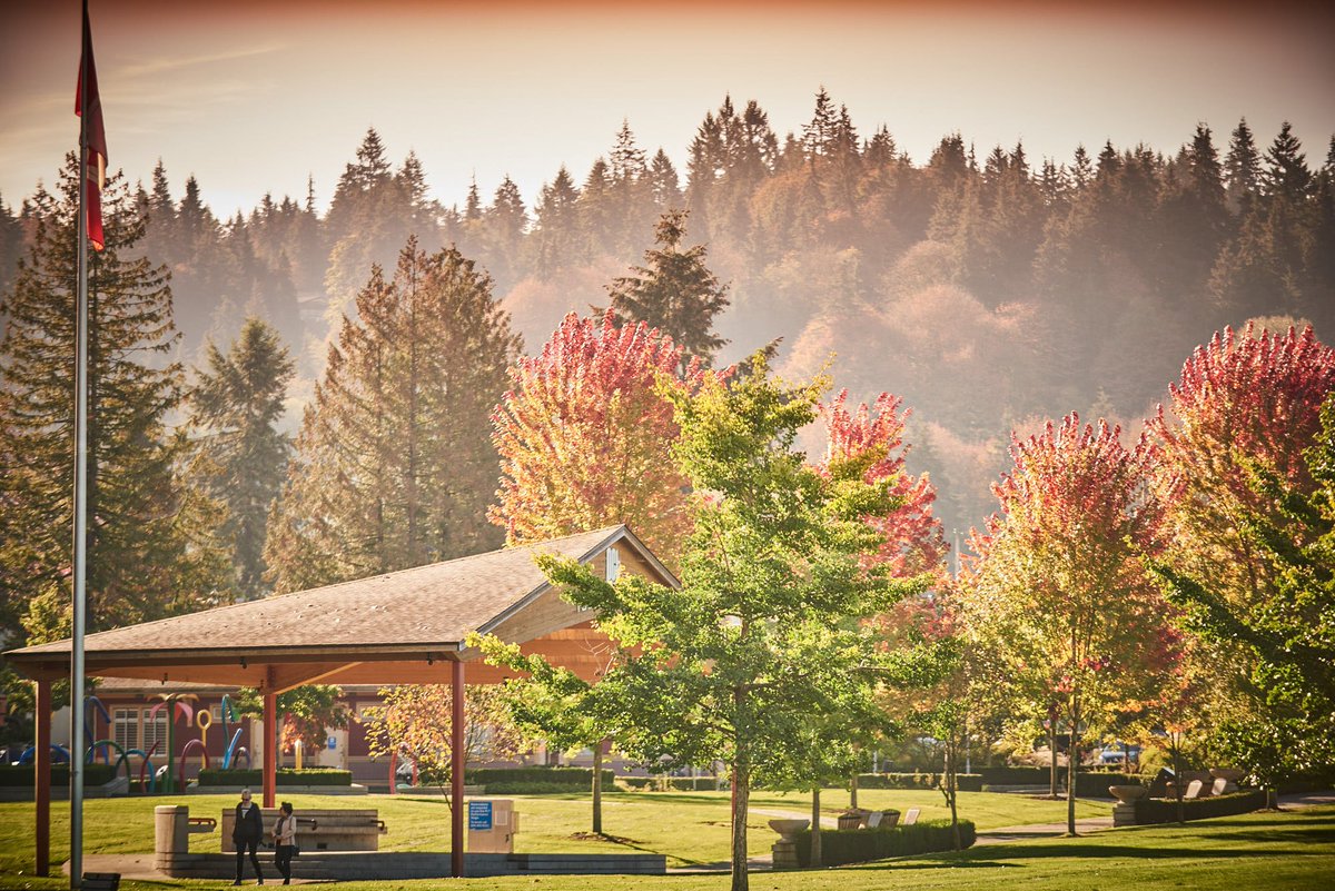 Feeling all sorts of gratitude this weekend. Happy Thanksgiving! 🍂