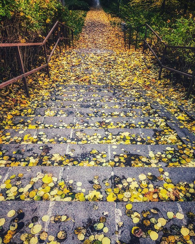 ranjanamedia's tweet photo. The way to heaven ❤️
#helsinki #visithelsinki #finland #visitfinland #autumn #colorful #roadtoheaven #justclick #mymobilephotography #mobilephotography #apple #photographylove #travellove https://t.co/3wwCeKTGnq https://t.co/4YlGTQZDbw