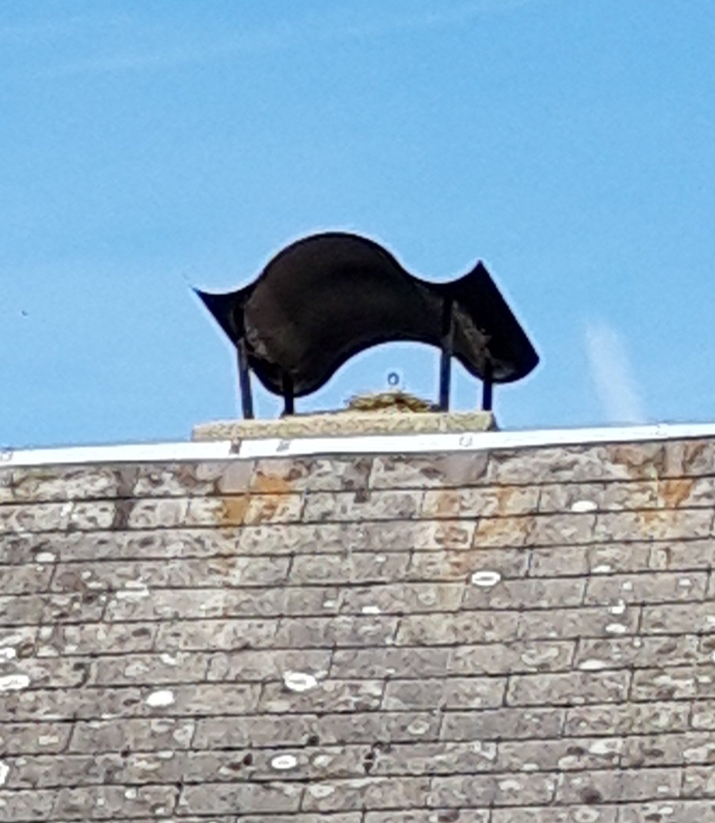 lecouilllu's tweet image. Done
#Ramonage