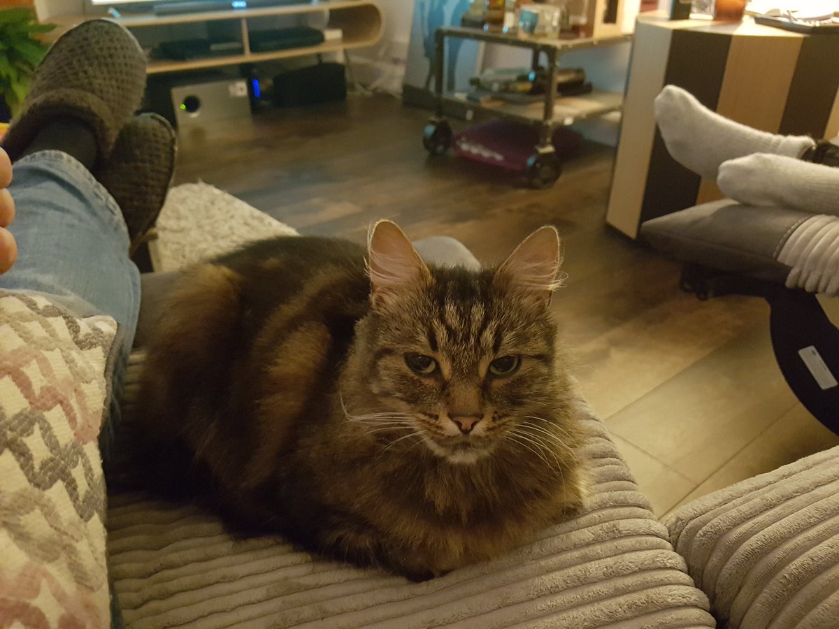 Christine tweet media