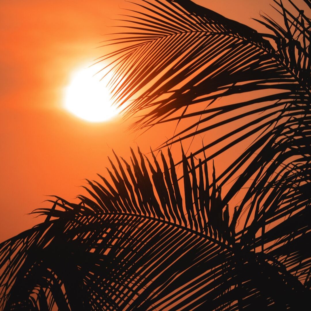 FolteneUK's tweet photo. Did you know? it takes anyway between 70 to 100 minutes for it to get darker after sunset. 

#sunset #bestfeeling #autumnalfeel #october2019 #leaves #flower #picoftheday #folteneuk
 #hotchocolate #warm #cold #foltene #hairlossproducts #selfconfidence
 #strongwomen https://t.co/3L6KZspjnU