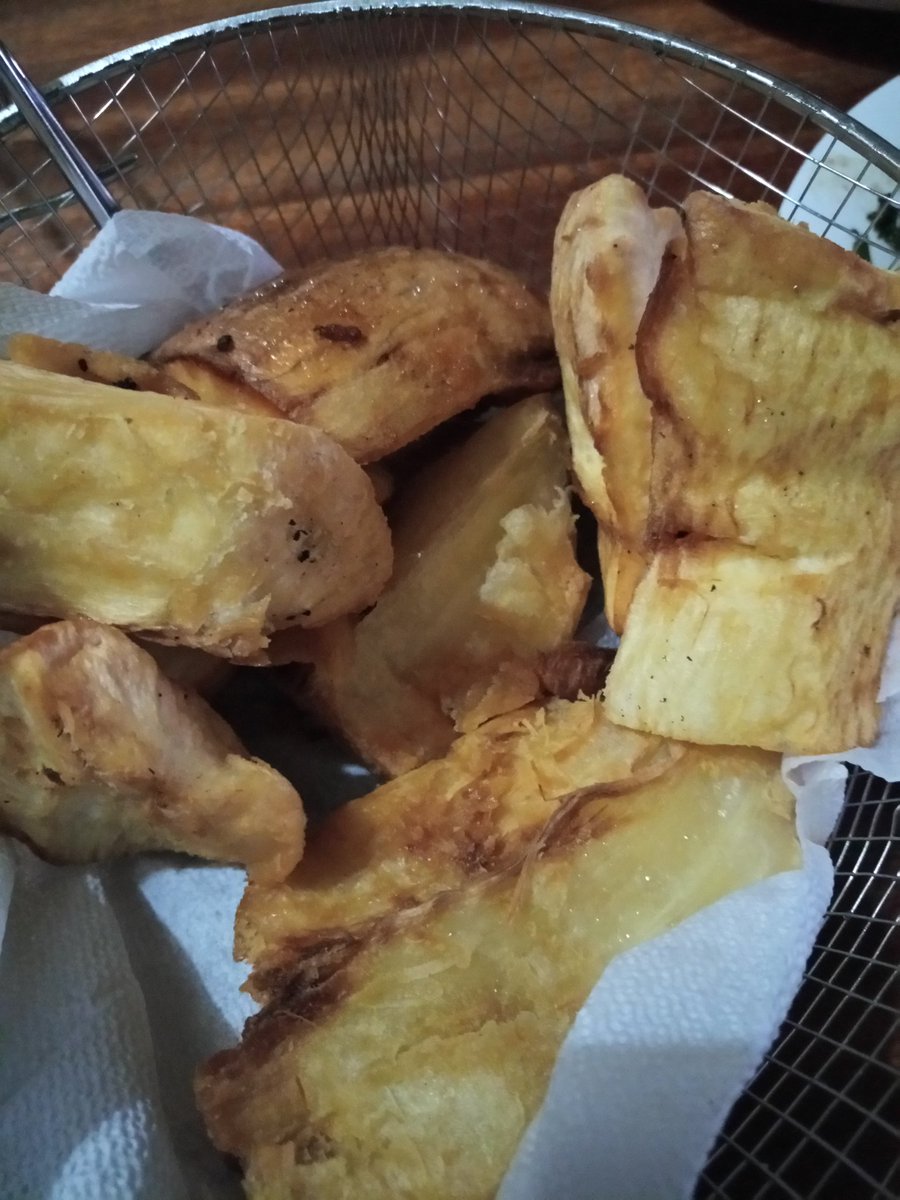 okkoech's tweet photo. Climate change adaptation! Cassava proves to be the alternative plant in the face of increasing rainfall variability. My harvest from one plant gave good yields! Deep fried replaced my ugali 100%, High starch, healthy diet @routetofood  @ClimateChangeNF @FAOKenya @LarmatUon https://t.co/LpLssaYU9t