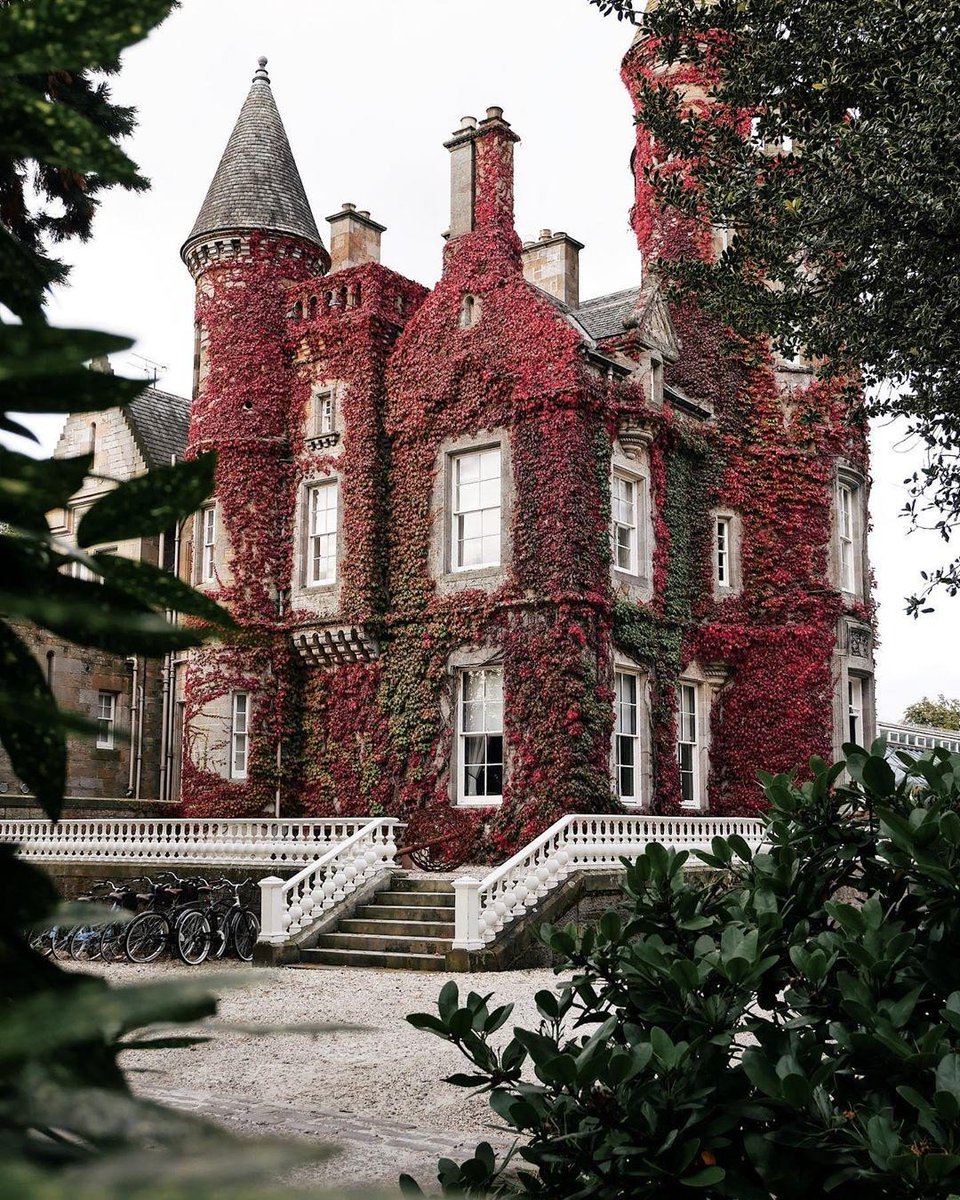 VisitScotland tweet media