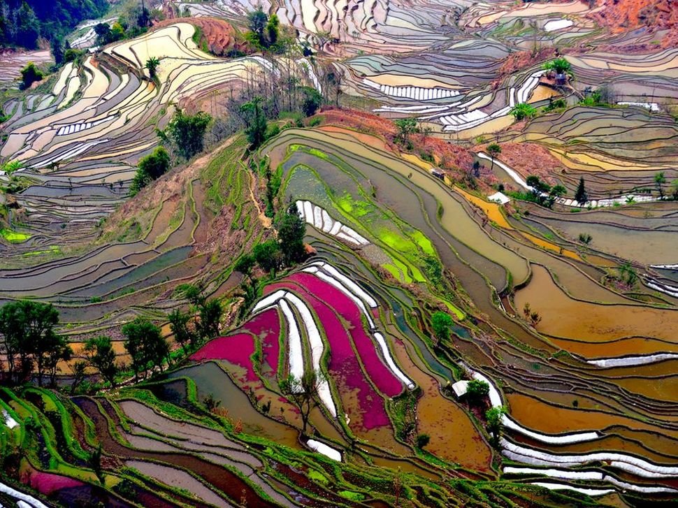 NessieRaez's tweet photo. #jcf13 quiero visitar el condado de yuanyang en China. https://t.co/amB7IEwSw8