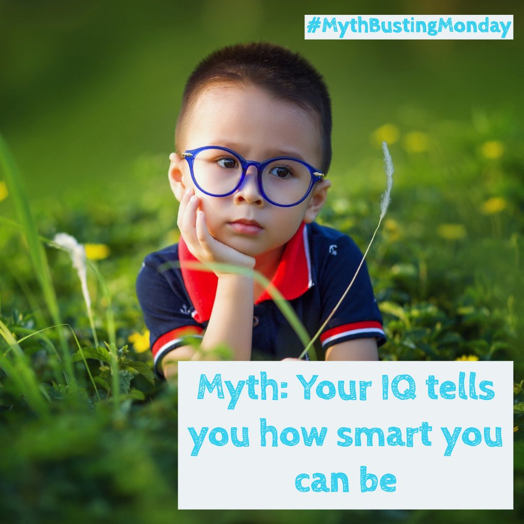 Straight-AConspiracy tweet media