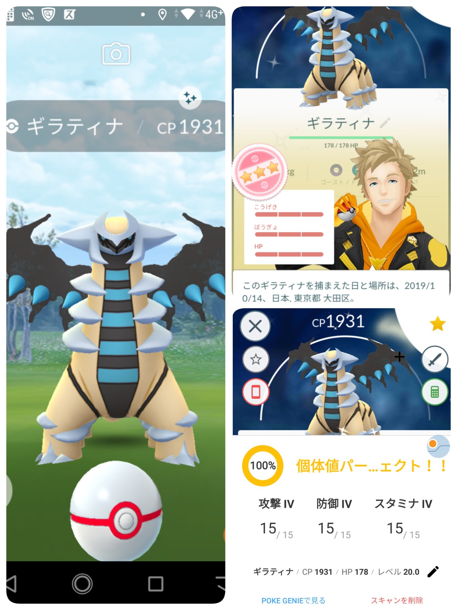 色違いギラティナ Twitter Search Twitter