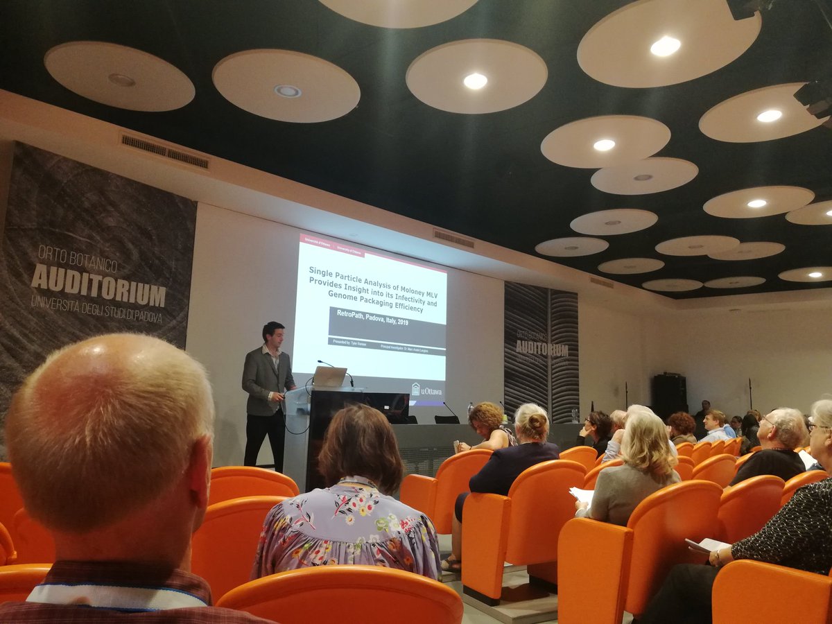Retro_Path's tweet photo. Great talk by the @Retrovirology travel award winner Tyler Renner from the Langlois lab @langlois_ma at @OttawaU at #RetroPath2019 on single viral particle flow cytometry
#virology #retrovirology #flowcytometry #flowvirometry https://t.co/or6sv4JZsE