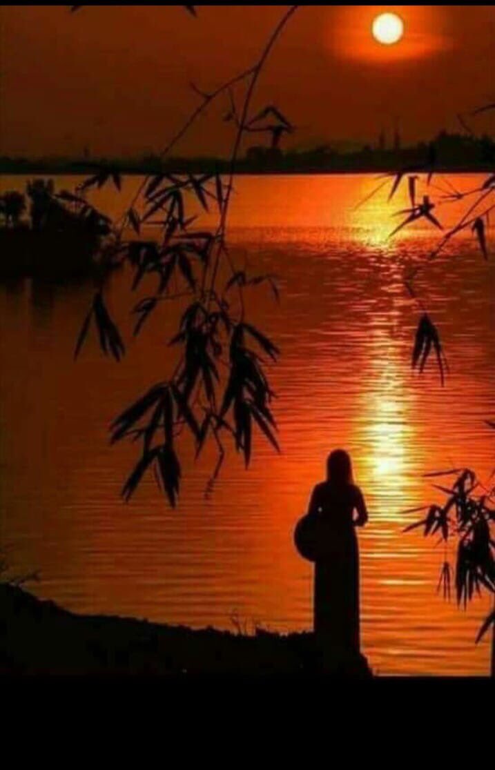 Good Night!
(Ảnh st)