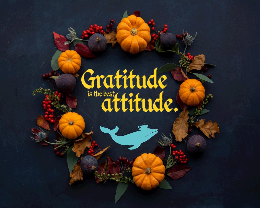 Wishing all our wonderful customers (and everyone else too!) a very Happy Thanksgiving! #givingthanks