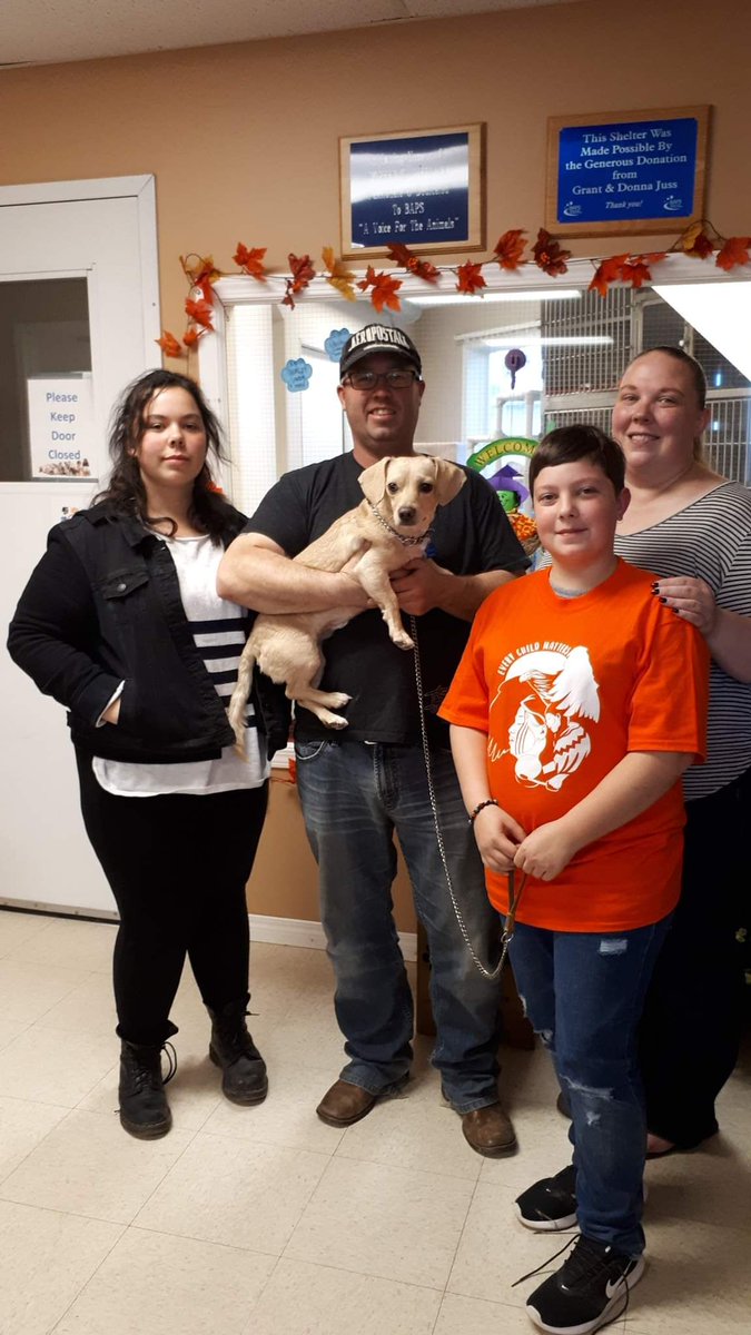 🐾Brooks Animal Protection Society🐾 tweet media