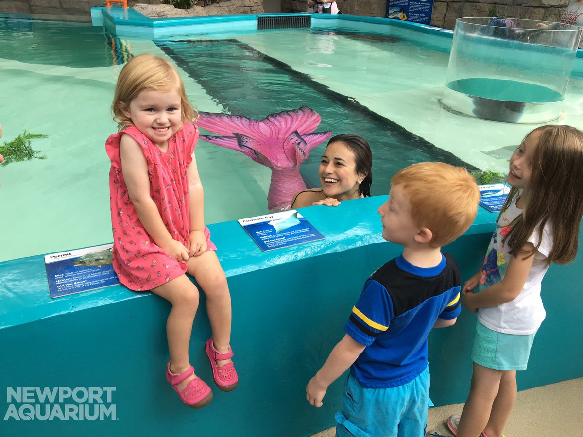 BuckeyeCoaster's tweet photo. Today is your last day to enjoy the #Mermaids at #MermaidCove at the @NewportAquarium before they leave! Everyone will have fun visiting with them. You are able to get $5 off by using the promo code, MERMAID. #newportaquarium 

📸: Newport Aquarium PR https://t.co/cy8J6BJfdi