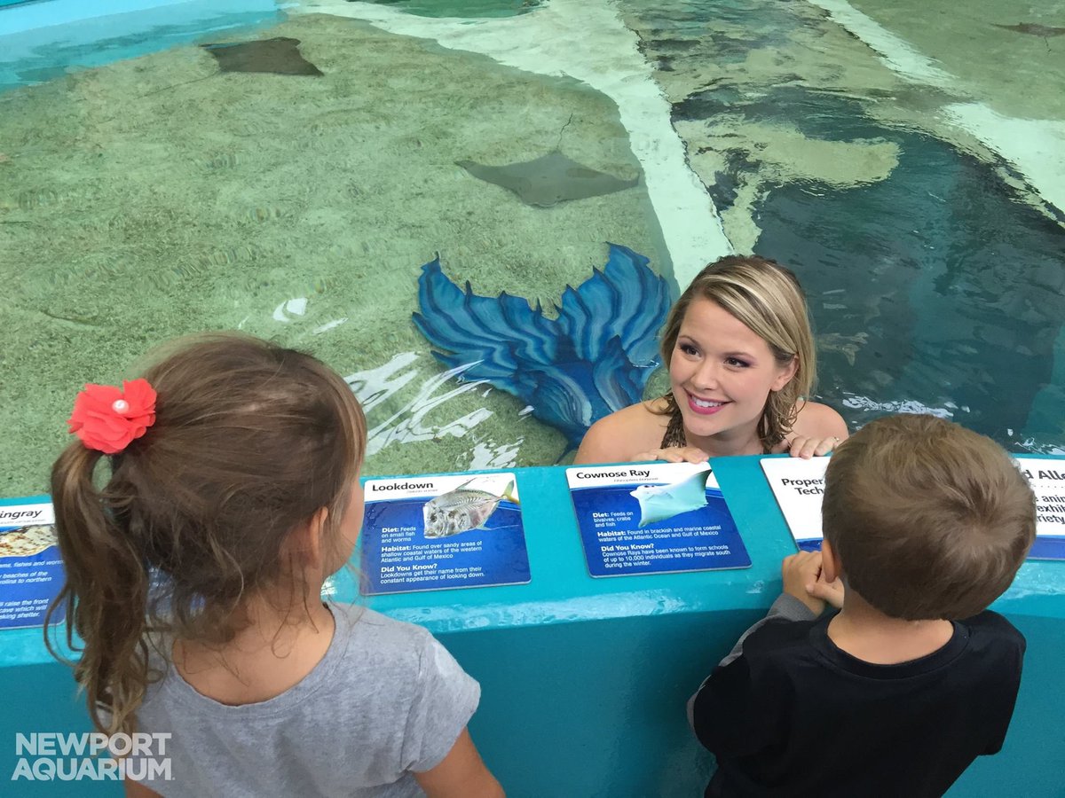 BuckeyeCoaster's tweet photo. Today is your last day to enjoy the #Mermaids at #MermaidCove at the @NewportAquarium before they leave! Everyone will have fun visiting with them. You are able to get $5 off by using the promo code, MERMAID. #newportaquarium 

📸: Newport Aquarium PR https://t.co/cy8J6BJfdi