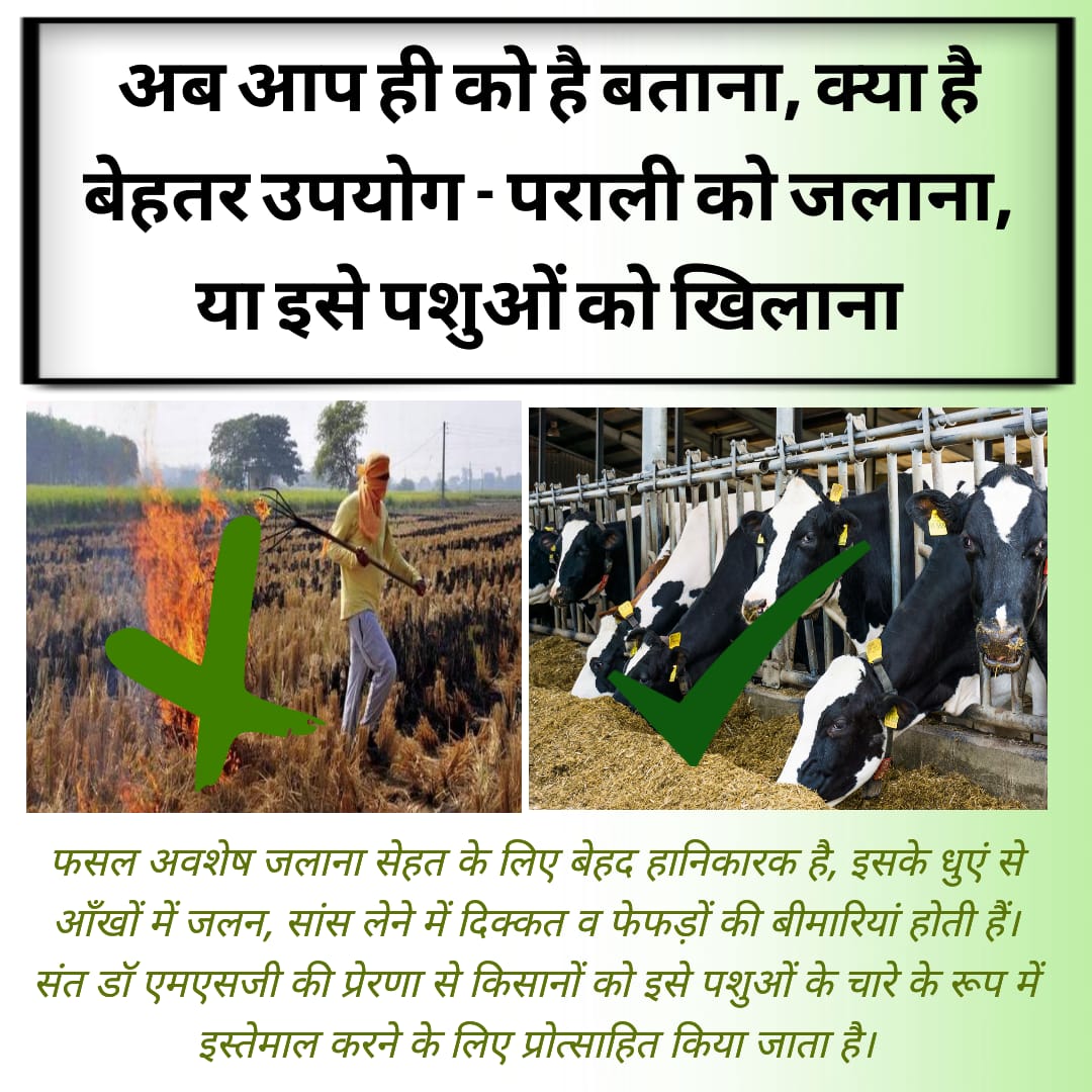 mkaur8977's tweet photo. #SayNoToStubbleBurning
@GurmeetRamRahim
Stubble burning causes of health problems. We can use it for better purpose like feeding animals. Please protect the environment.
@DeraSachaSauda https://t.co/gBxSZANA8t