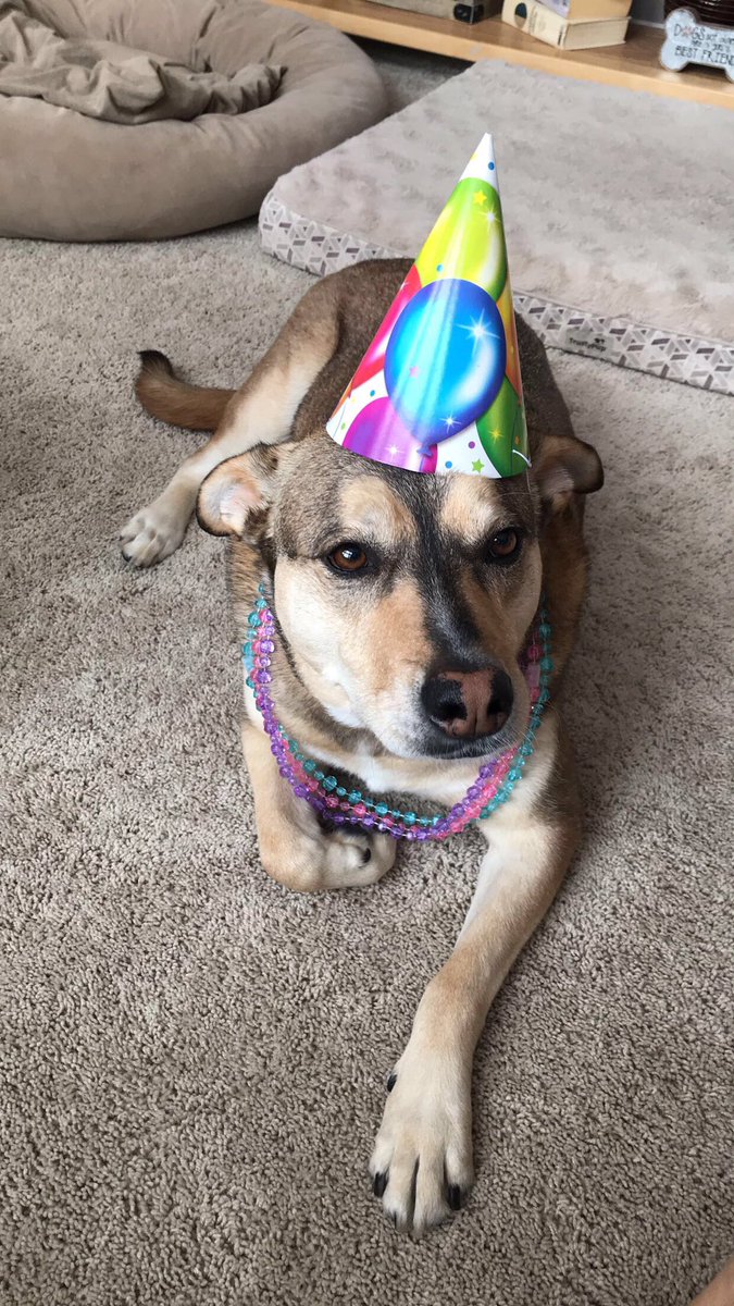 mrsconniewynn's tweet photo. Happy 8th Birthday, Elle❣️ #HappyBirthday https://t.co/prHg4Vvckn