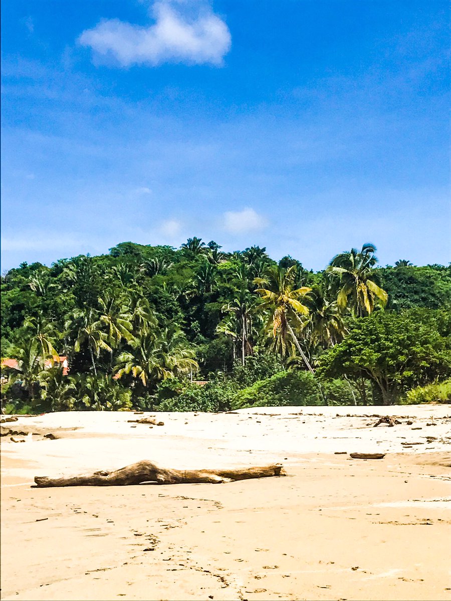latitudesstudio's tweet photo. To escape and sit quietly on the beach - that's my idea of paradise.
Emilia Wickstead
—- 
Your plans could lead you to Paradise ; here it’s Sayulita beach, a surfer bohemian heaven - get yourself a travel planner - we research, you book : https://t.co/BvgJCEgi0c https://t.co/sLACCaVUp9