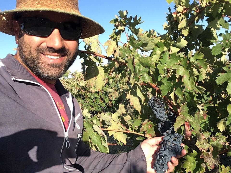 BodegaNegon's tweet photo. Vendimia un año más en familia. Marcadas por el calor, la baja producción y la alta calidad de las uvas.
#harvest  #familia #vendimia #calidad #exclusividade #exclusivo #vigneron  @ Fuentecén, Spain https://t.co/rtpLk8D5R1