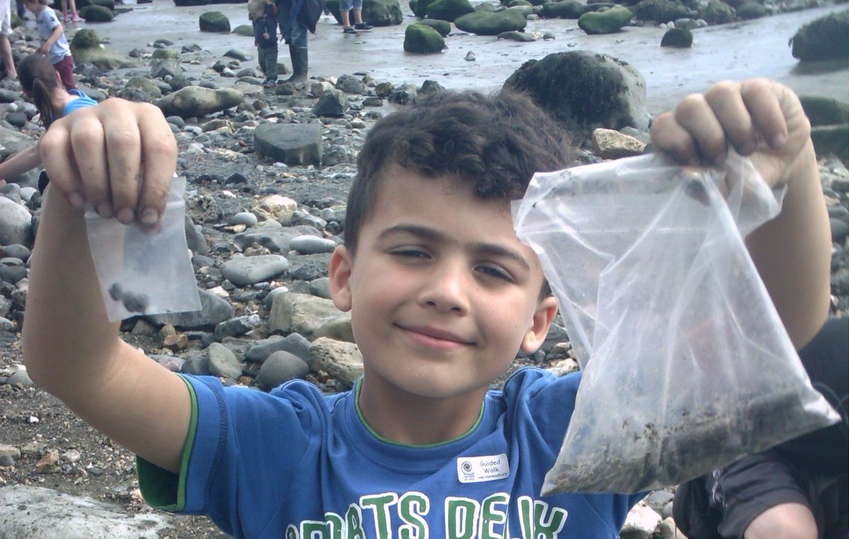 CharmouthHCC's tweet image. There are just 20 spaces left for this Thursday&apos;s fossil walk and 40 spaces left on Saturday. We have just added a fossil walk for Monday 21st but only 40 spaces are available. Book online or over the phone to secure spaces; charmouth.org/chcc/events-ca…