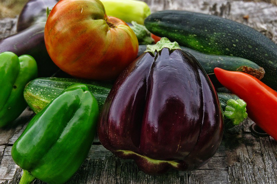 vlcinnovation's tweet photo. Dos documentals i col·loqui per a celebrar el #DiaMundialAlimentació i el #DiaDonaRural. Vos esperem! @Davidsegarra @AjuntamentVLC @liligargar @JavierIbanyez @fademurpv #LesEspigolaores #DMA19 #WFD19 https://t.co/9eVffmSxXS https://t.co/zFDLKK2NVB