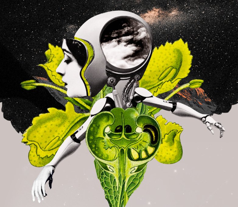 Actuellement et jusqu'au 25 janvier 
Exposition HADALY ET SOWANA, CYBORGS ET SORCIÈRES, à l’Espace Gantner <a href="/espacegantner/">Espace multimédia Gantner</a>
 @cdelieu
 @annieabrahams
 <a href="/c_ducellier/">Camille Ducellier</a>
 <a href="/AlbertinMeunier/">albertine meunier</a>
 <a href="/browncorefly/">Tabita Rezaire</a>
 une relecture contemporaine et féministe de "l'Ève future".
espacemultimediagantner.cg90.net/?post_type=exp…