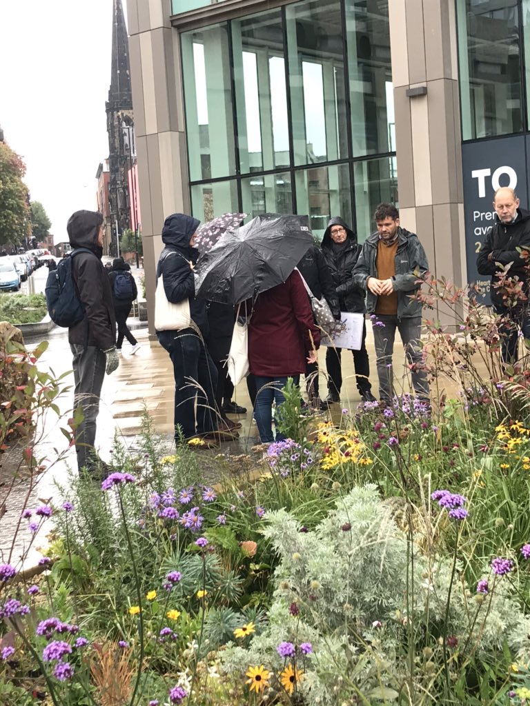 Ryan Bellinson tweet media