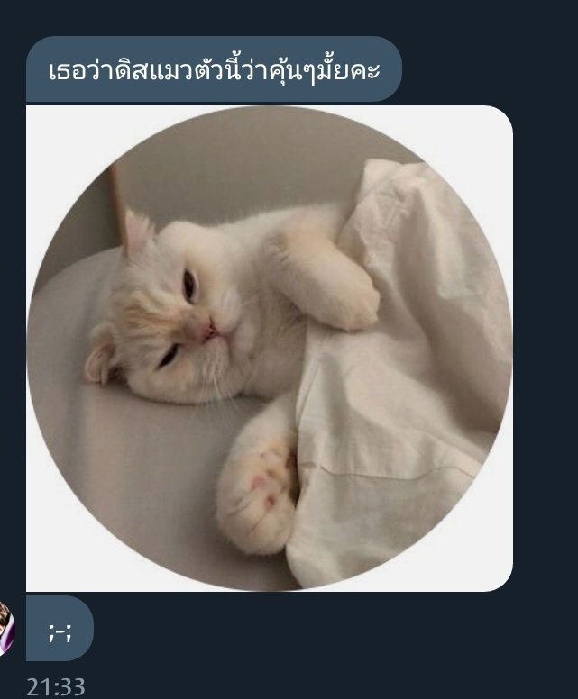มาขิงคนครับ!!@จะทยอยฟอลนะ tweet media