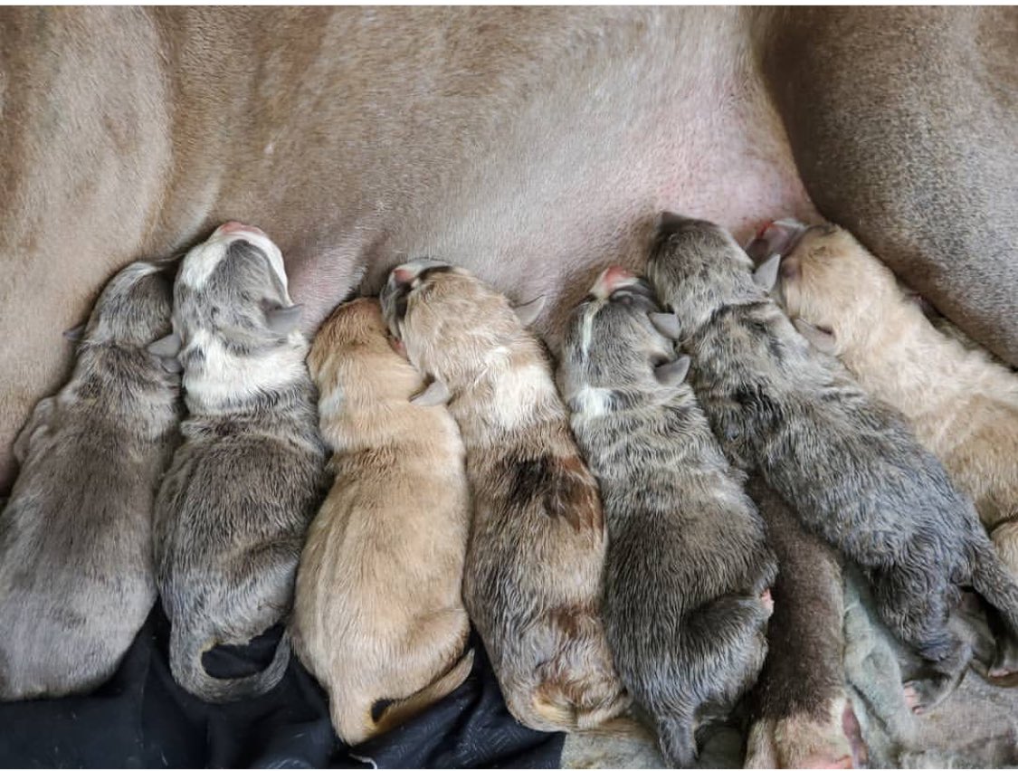 BuildABull's tweet image. So this happened 🔥🔥🔥