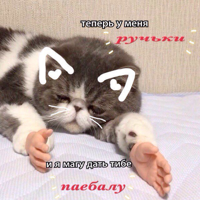 FergusZehn's tweet photo. @YourCrushsName https://t.co/nY7p8Qel06