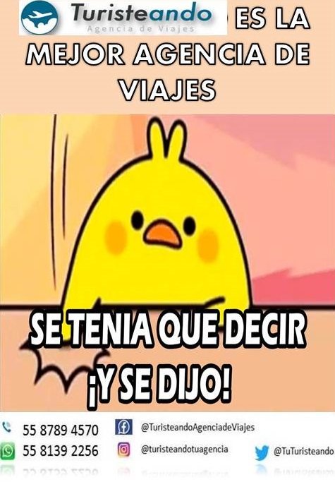 TuTuristeando's tweet photo. ¡BUENOS DIAS! 😁🌼
Sin duda alguna, somos la mejor....
Visítanos https://t.co/5dAGiELWtP
Aún tenemos mucho por viajar y nosotros tenemos los mejores destinos y a precios increíbles 😍😛
Llámanos 55-87-89-45-70
O vía whatsApp 55-81-39-22-56

¿QUIÉN DIJO QUE VIAJAR ERA CARO? 🤔 https://t.co/hOWd91VpUB