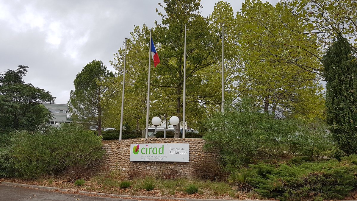 EllenGoudemand's tweet photo. En formation #Rshiny au @Cirad, afin de pouvoir fournir à nos sélectionneurs @GroupeFDesprez des outils, de visualisation de leurs données, encore plus adaptés à leurs besoins https://t.co/iirT9WFQIZ