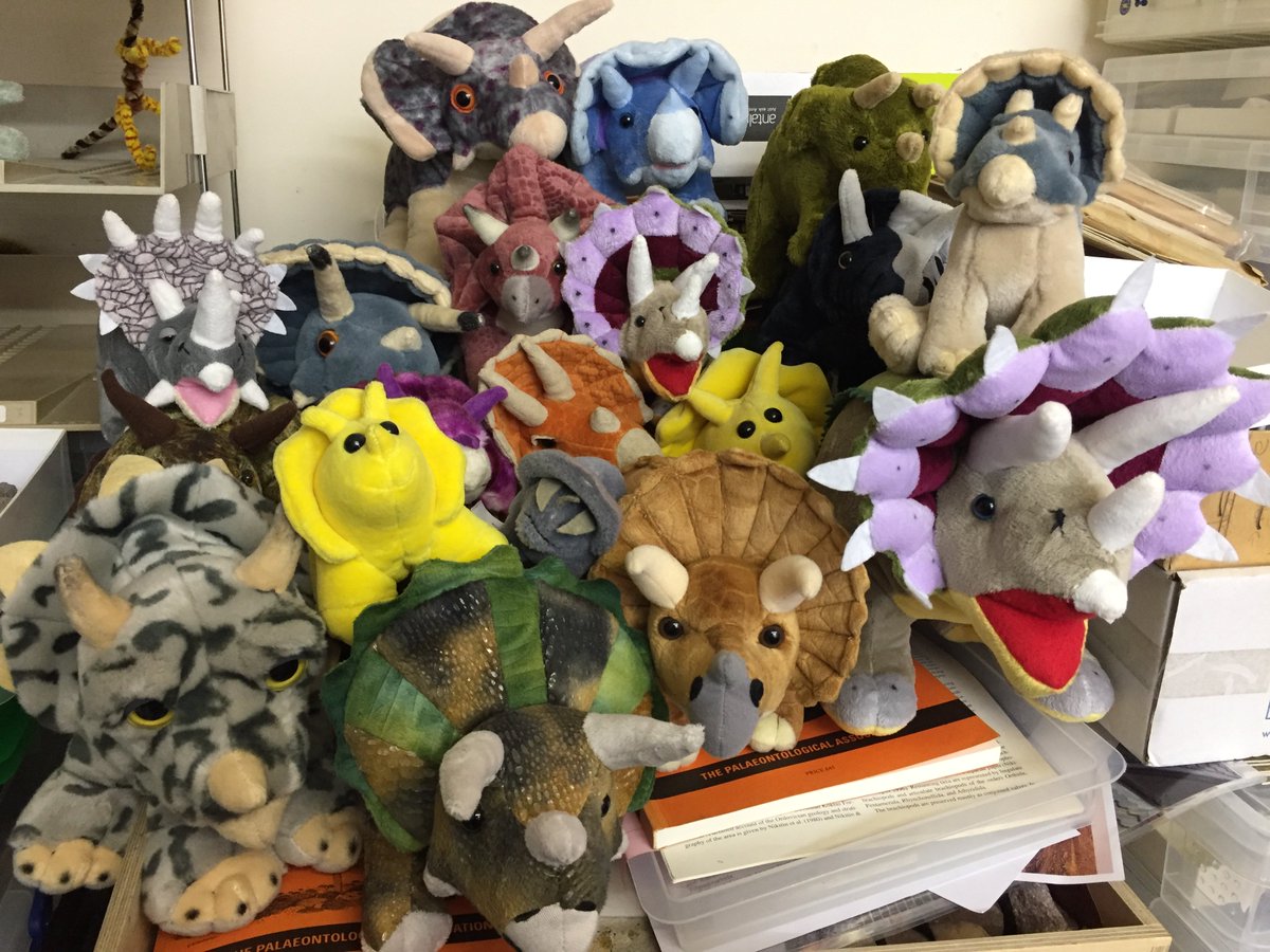 OriginalGCG's tweet photo. Join in our week of celebrating #fossils #rocks #minerals #space (etc!) with our hashtags:
Monday: #ShowUsYourMug
Tuesday: #ShowUsYourJewellery
Wednesday: #ShowUsYourClothes
Thursday: #ShowUsYourCuddlyToys
Friday: #ShowUsYourCrafts
#EarthSciWeek @geolsoc (Image by @Palaeofossil) https://t.co/i7VBbGk3Bp