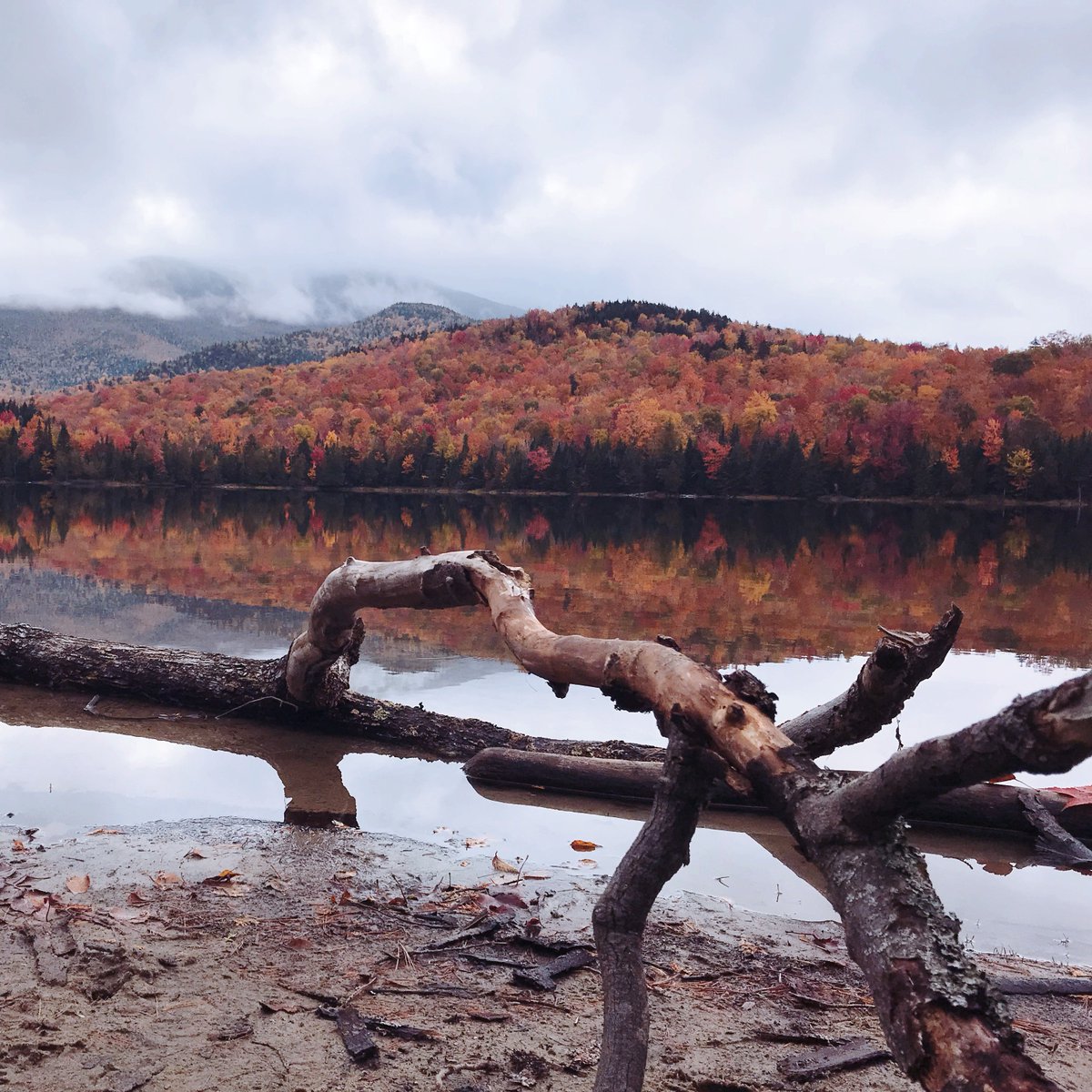TravelPointers's tweet photo. Sometimes the most #beautiful spots in the #world are right in your backyard... #upstateNY #newyork #lakeplacid #fall #leaves #autumnleaves #newengland #staycation #travel #travelgram #poconos #columbusday #local https://t.co/VqRHNew7U8
