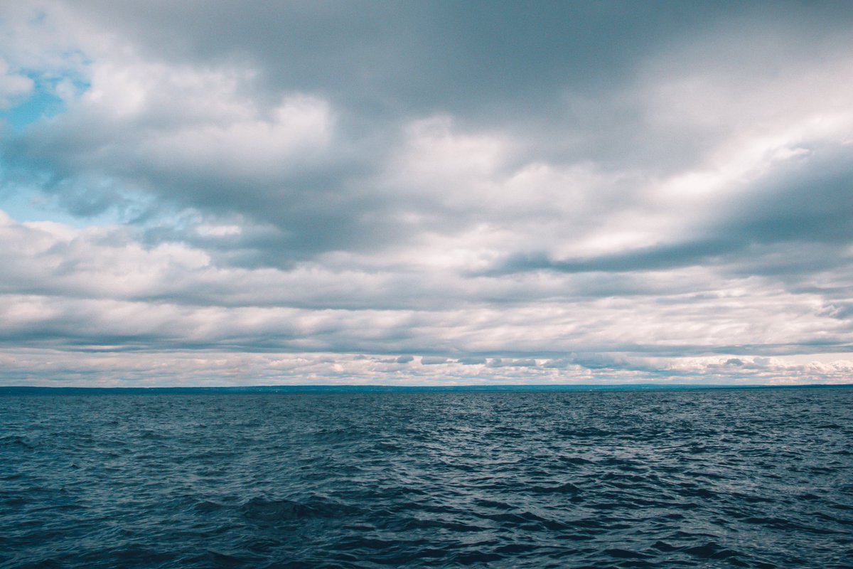 dreamsandgo's tweet photo. Allez observer les baleines dans leur milieu naturel fut une expérience fantastique pour nous. Nous étions sur un petit bateau de 12 personnes avec un très bon pilote. Face à ces géants des mers, nous sommes tout petit :) . #whales #quebec #essipit #canada #dreamsandgo https://t.co/tdPdm3YkS7