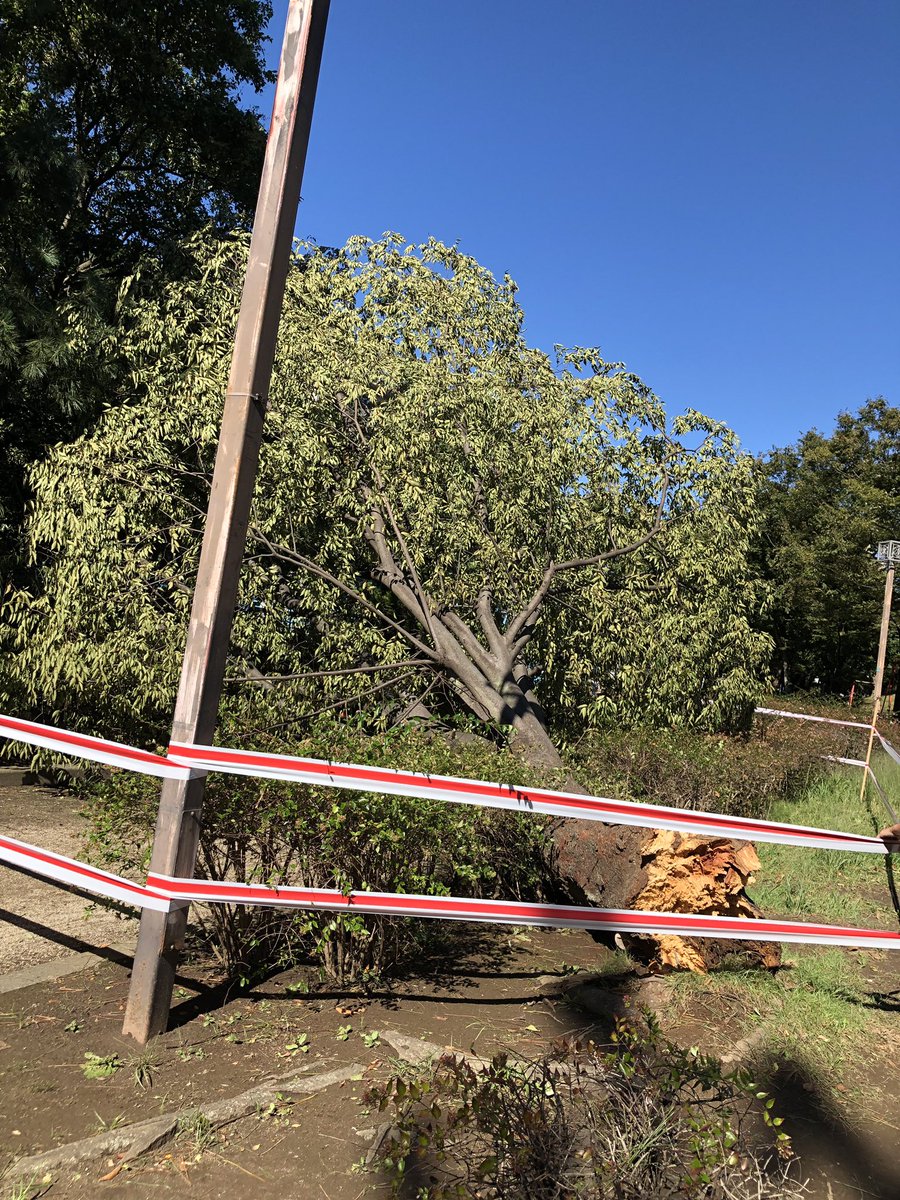 ktktatat's tweet photo. 台風の爪痕
東海面公園 https://t.co/ydfpUEPtER