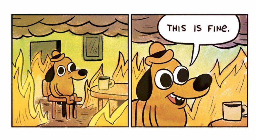 MsMorganMedia's tweet photo. Happy Meme Monday 🐶🔥 This is fine...😬 #SpiritWeek #ilovedressingup https://t.co/Ge10zg5fRY