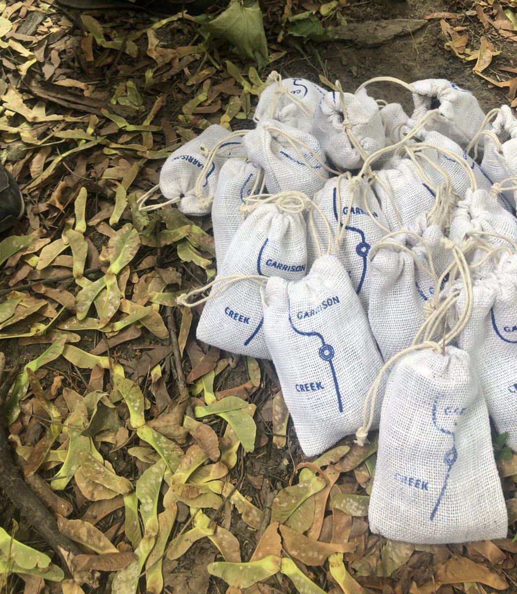 Toronto Green Community tweet media