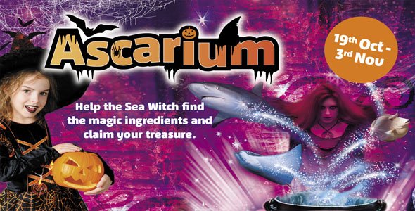 Ascarium at Scarborough SEA LIFE Sanctuary begins this weekend!

This Halloween meet the mystical Sea Witch in her lair! If you can help her cast the 'spell of un-locking' you will be able to open her treasure chest and share her treasure!

<a href="/SEALIFEScarboro/">SEA LIFE Scarborough</a> 

#Halloweeen