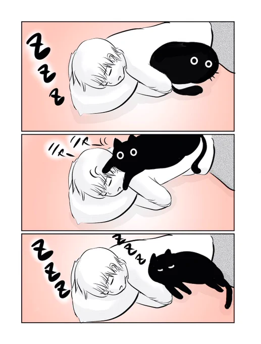 遊んで欲しいけど、寝てしまう… #息猫
おやすみなさい…m(_ _)m? 