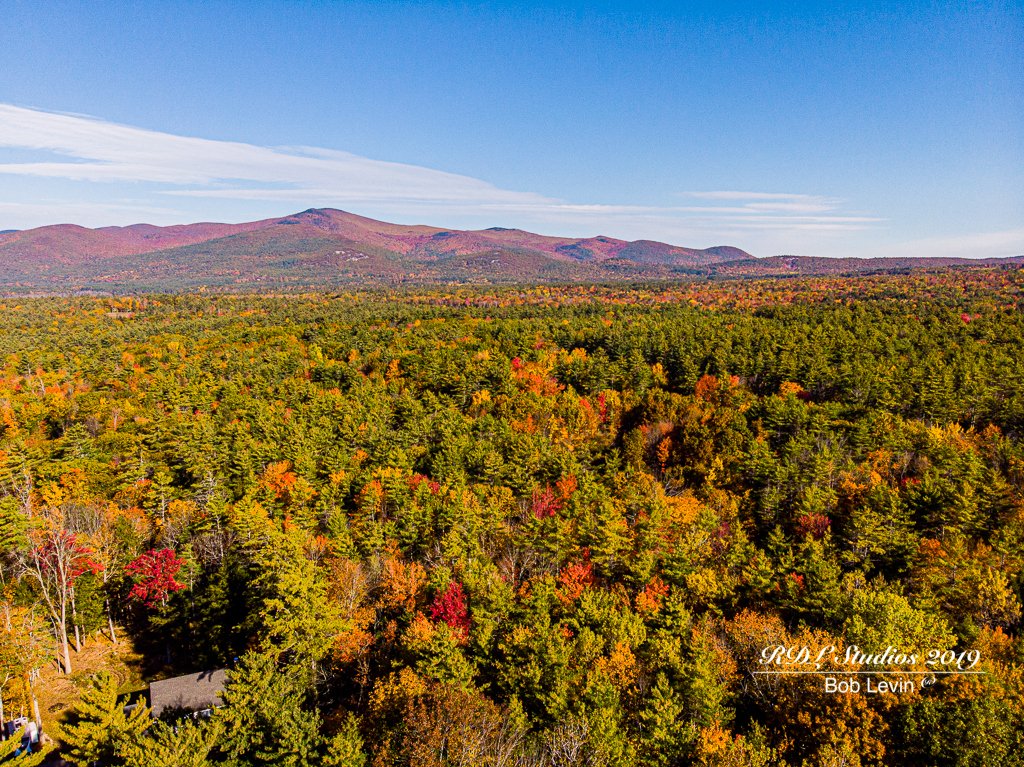 rdl_studio's tweet photo. Fall Foliage is unbelievable this year https://t.co/hUCq5q8uj5