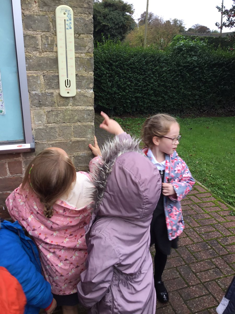 FleetWoodLane's tweet photo. Hedgehogs exploring Autumn weather. We set up a weather station!
#fleetwoodlane #hedgehogsclass https://t.co/wMohoq52ND