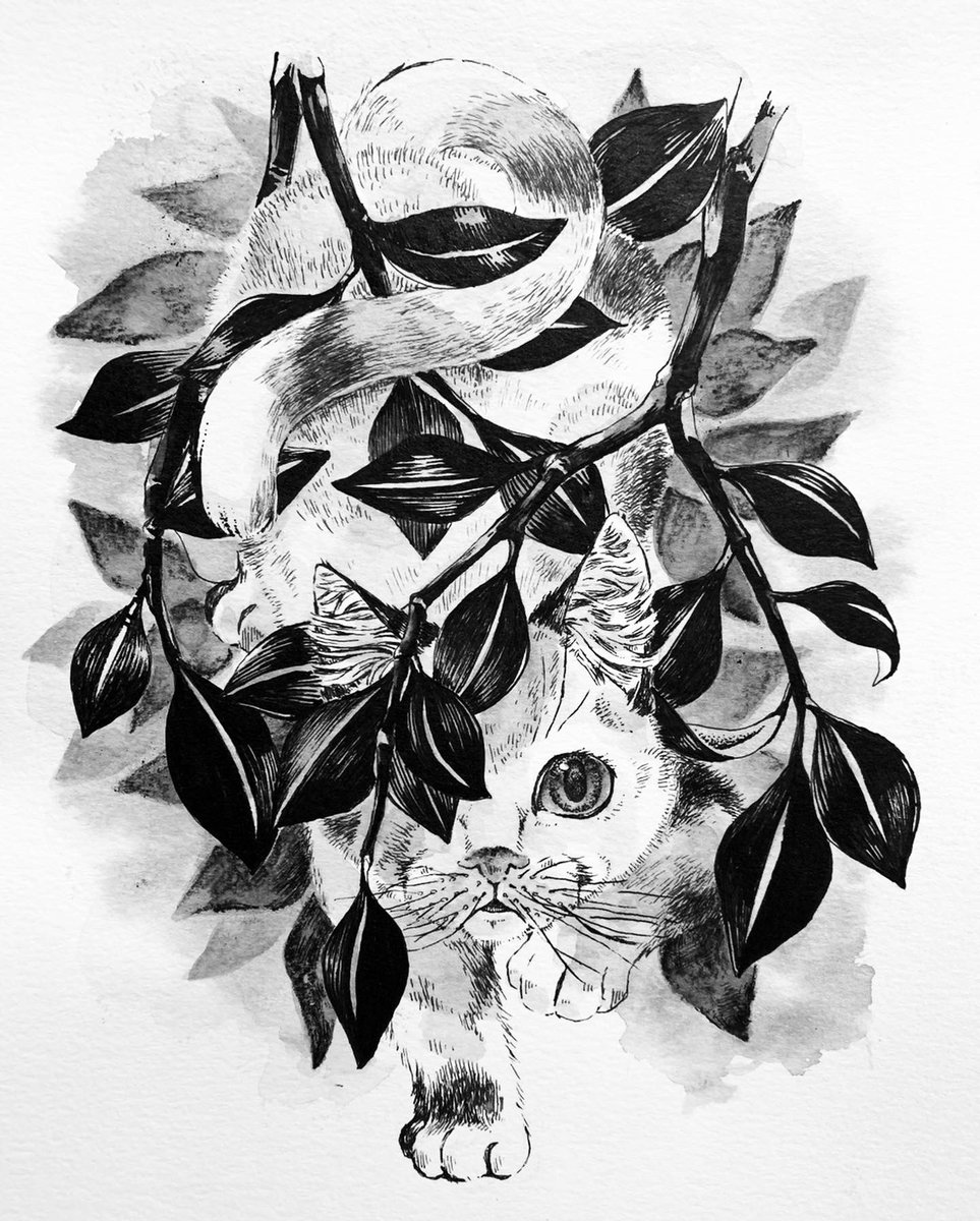 梅月 Inktober19 Day14 Overgrown 生い茂る 茂みを覗いてみたネコや鳥って 魅力的に見えるの私だけかな Inktober19 Inktober イラスト Illust Art アナログイラスト 梅月備忘録 Overgrown 生い茂る 猫 Cat T Co Uwtcebhnqy 梅月 Inktober19 Day14 Overgrown 生い茂る 茂みを覗いてみたネコや鳥って 魅力的に見えるの私だけかな Inktober19 Inktober イラスト Illust Art アナログイラスト 梅月備忘録 Overgrown 生い茂る 猫 Cat T Co Uwtcebhnqy