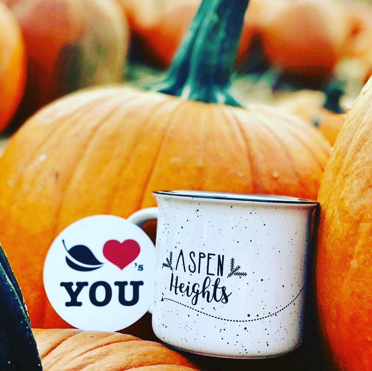 AspenMTSU's tweet photo. Oh my gourd! We 🧡 Fall and you! 
Keep an eye out on our IG later today to see what "cozy" item you can get this week when you renew! #renewataspen #liveataspen🏡 https://t.co/pqZuN9ZXh5