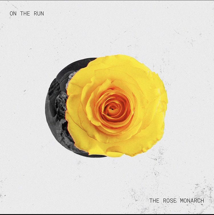 The Rose Monarch 🥀 tweet media