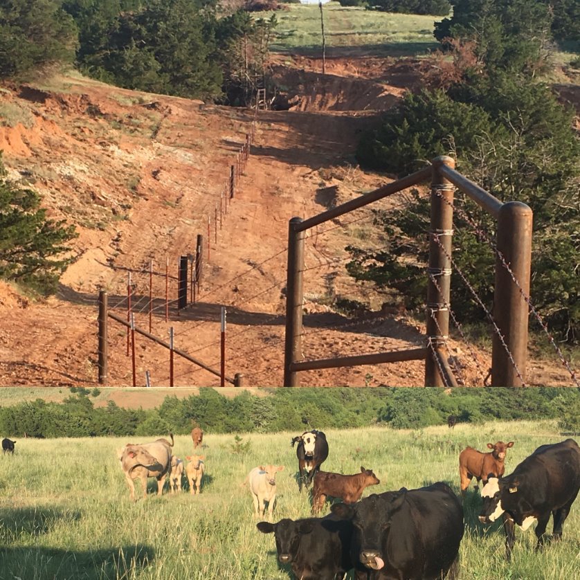 cymoo1's tweet photo. New fence approximately 6000 linear ft -c- of section line, all steel &amp; bull hung gates, up on the Gerald Noble Cedar Springs Ranch Lease, #MajorCounty, Ok. Construction by Will Nunn, formally #Georgia. Many up's &amp; down's in this beautiful rolling Canyonland. Well done Will🦅🇺🇸 https://t.co/kg3Sqikn2C