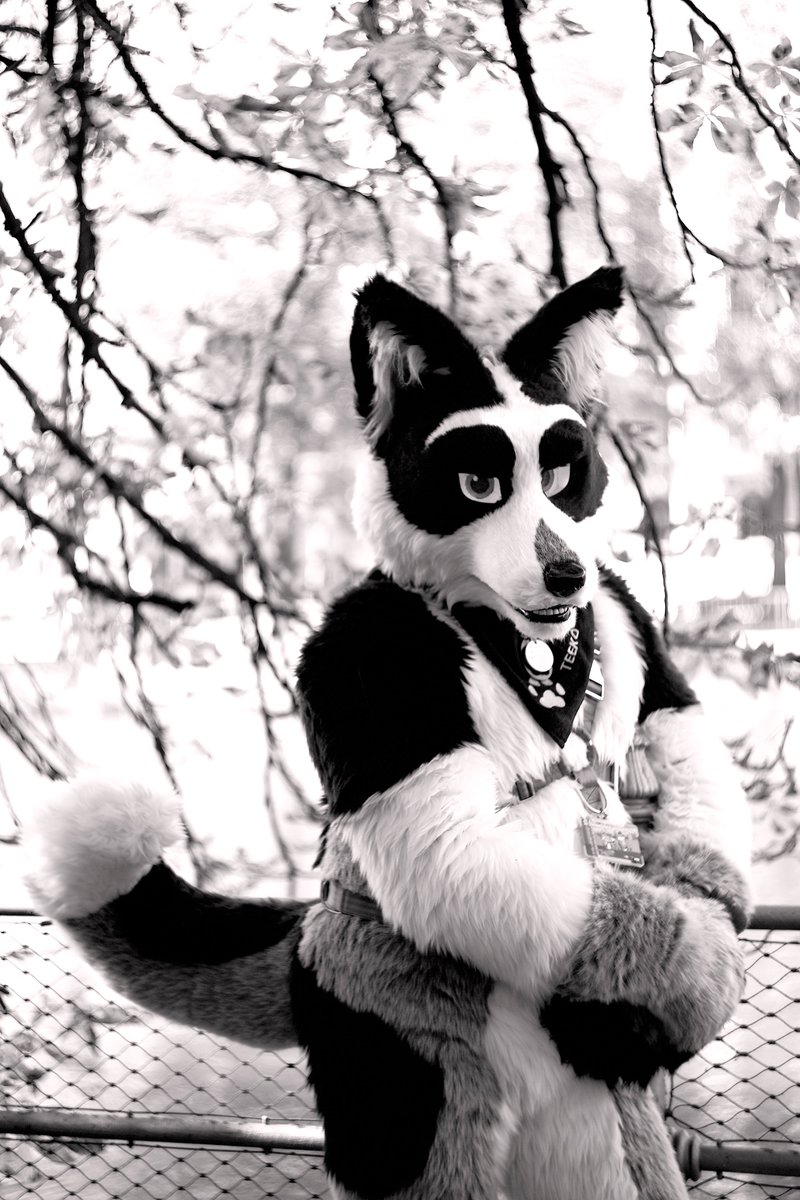 I really like how these pictures of <a href="/Rougfox/">Rougfox</a> turned out. I should have switched to my trusty Helios 44 way earlier at #MSW7. I converted the photos to black and white because the Canon 5D doesn't handle pushing shadows very well. Now they almost look like they were taken on film.