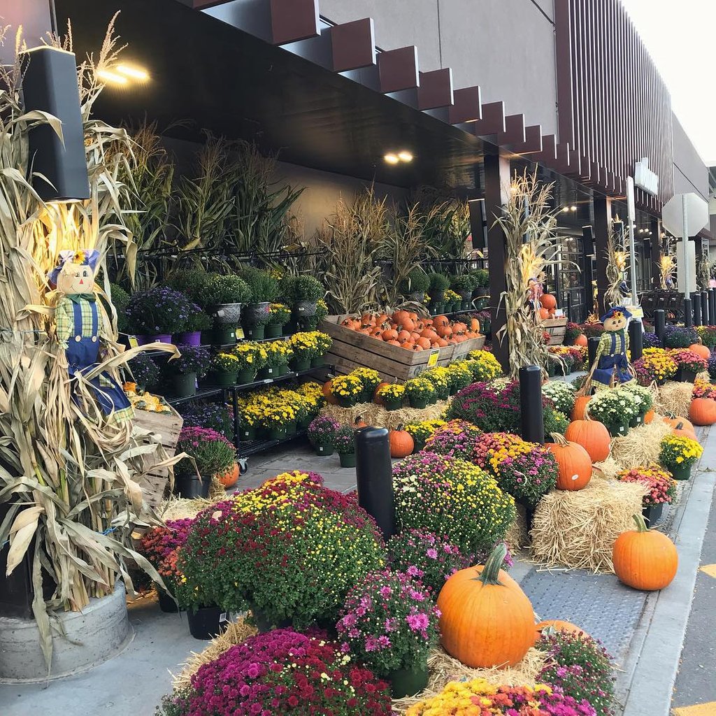 PinkRibbn's tweet photo. CONTEST:🎃
Enter to win up to $500 to @pricechopper, Market 32, or @harristeeter! Contest rules: Share your plate of healthy foods made with Pink Ribbon Produce. Tag us in the photo and use #PowerUpYourPlate. 🍽
Full details: https://t.co/lqF5S8JV7g
📸: https://t.co/yZvDLf84uu https://t.co/7BpgvIV1nA