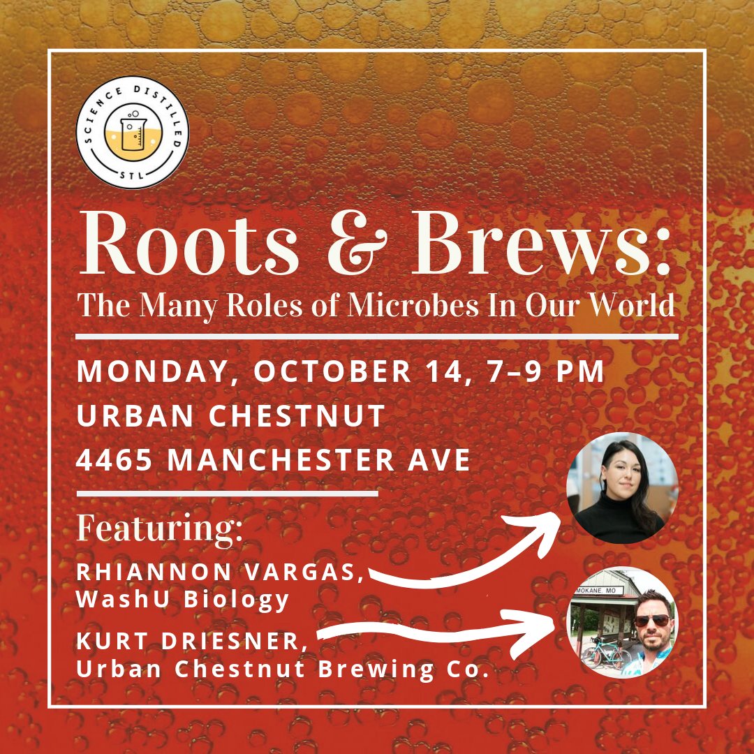 Science Distilled STL (@scidistilledstl) on Twitter photo Tonight's the night! Come join us and our partners <a href="/AcademyofSciSTL/">The Academy of Science of St. Louis</a> at <a href="/urbanchestnut/">UrbanChestnutBrewing</a> in the grove, 7 PM. We've got two great talks lined up with <a href="/VargasRhiannon/">Rhiannon Vargas</a> and Kurt Driesner. Tonight's the night! Come join us and our partners <a href="/AcademyofSciSTL/">The Academy of Science of St. Louis</a> at <a href="/urbanchestnut/">UrbanChestnutBrewing</a> in the grove, 7 PM. We've got two great talks lined up with <a href="/VargasRhiannon/">Rhiannon Vargas</a> and Kurt Driesner.