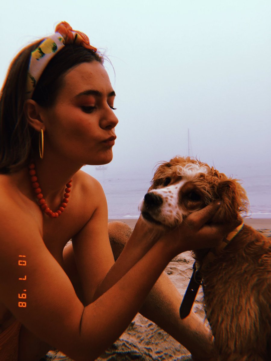 the_orange_iris's tweet photo. I just love this little weirdo 🥰 https://t.co/JFDFMWIoFx