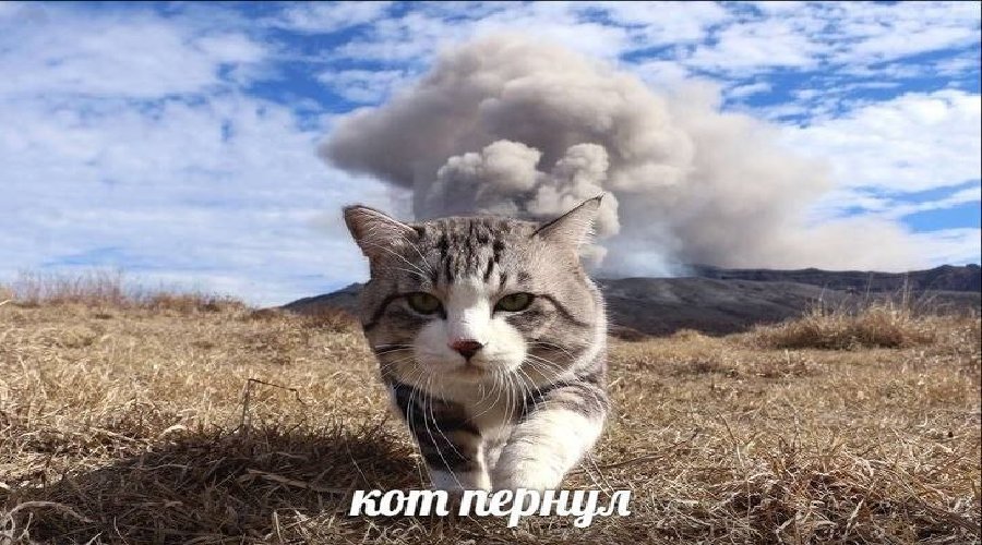 EG2e4w6XYAEKbDE?format=jpg&name=medium